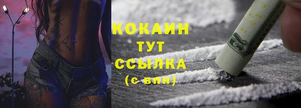 таблы Богородицк