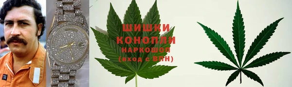 таблы Богородицк