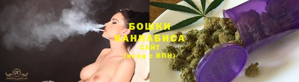таблы Богородицк