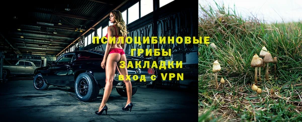 соль курить ск Верхний Тагил