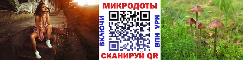 купить   OMG ТОР  сайты даркнета наркотические препараты  Светогорск  Галлюциногенные грибы Psilocybe 