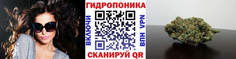 Шишки марихуана SATIVA & INDICA  Светогорск 